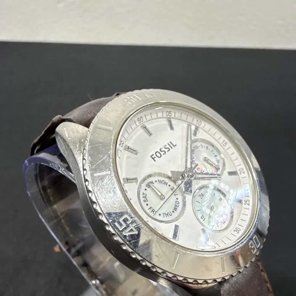 Fossil up auction